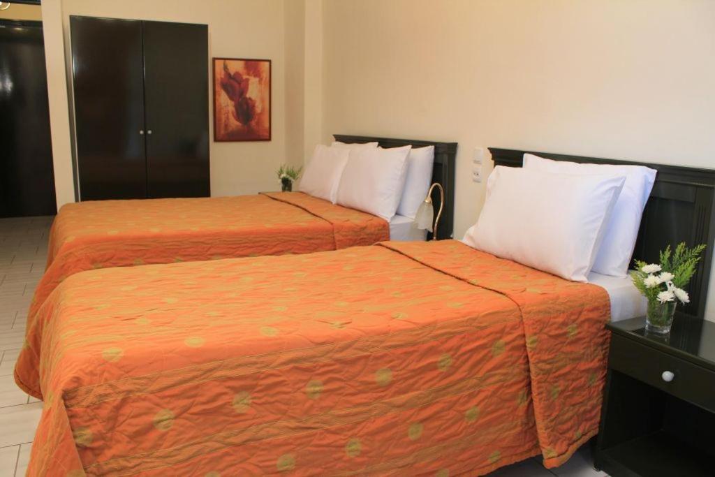 Famissi Eden Hotel Kalabáka Quarto foto